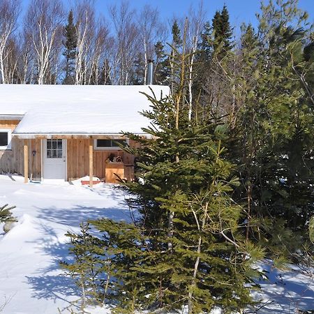 The Sleeping Moose Cottage Birch Plain Extérieur photo