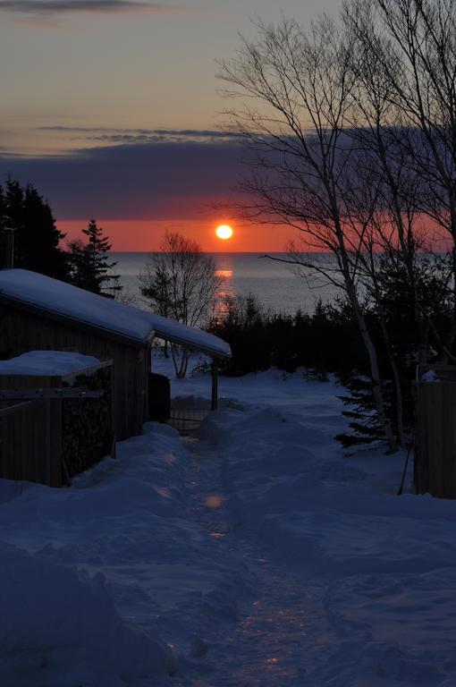 The Sleeping Moose Cottage Birch Plain Extérieur photo