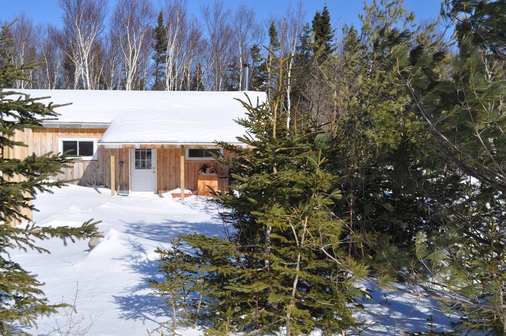 The Sleeping Moose Cottage Birch Plain Extérieur photo