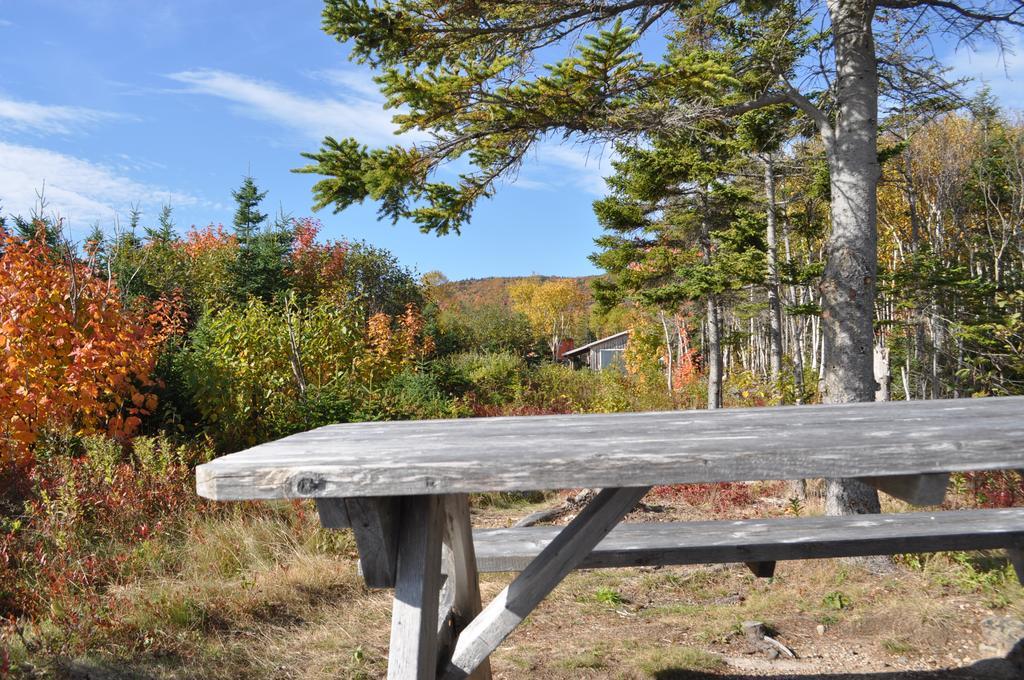 The Sleeping Moose Cottage Birch Plain Extérieur photo