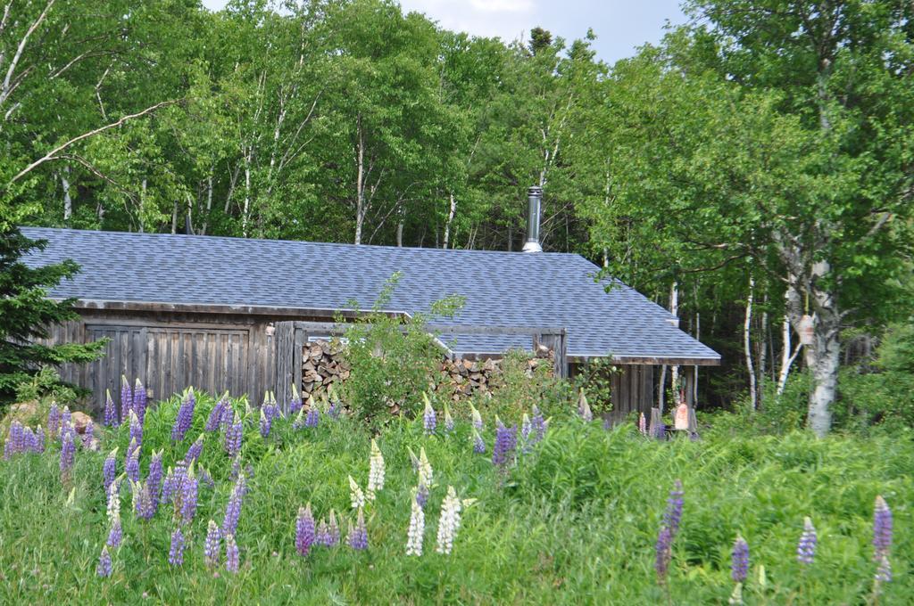 The Sleeping Moose Cottage Birch Plain Extérieur photo
