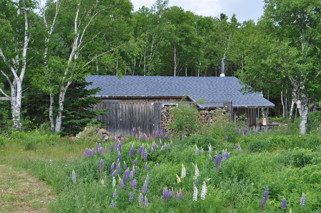 The Sleeping Moose Cottage Birch Plain Extérieur photo