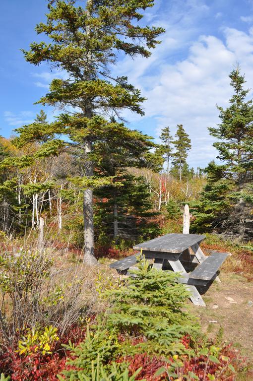 The Sleeping Moose Cottage Birch Plain Extérieur photo