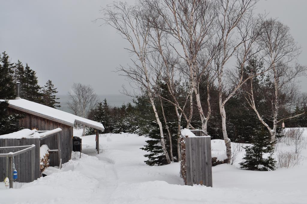 The Sleeping Moose Cottage Birch Plain Extérieur photo
