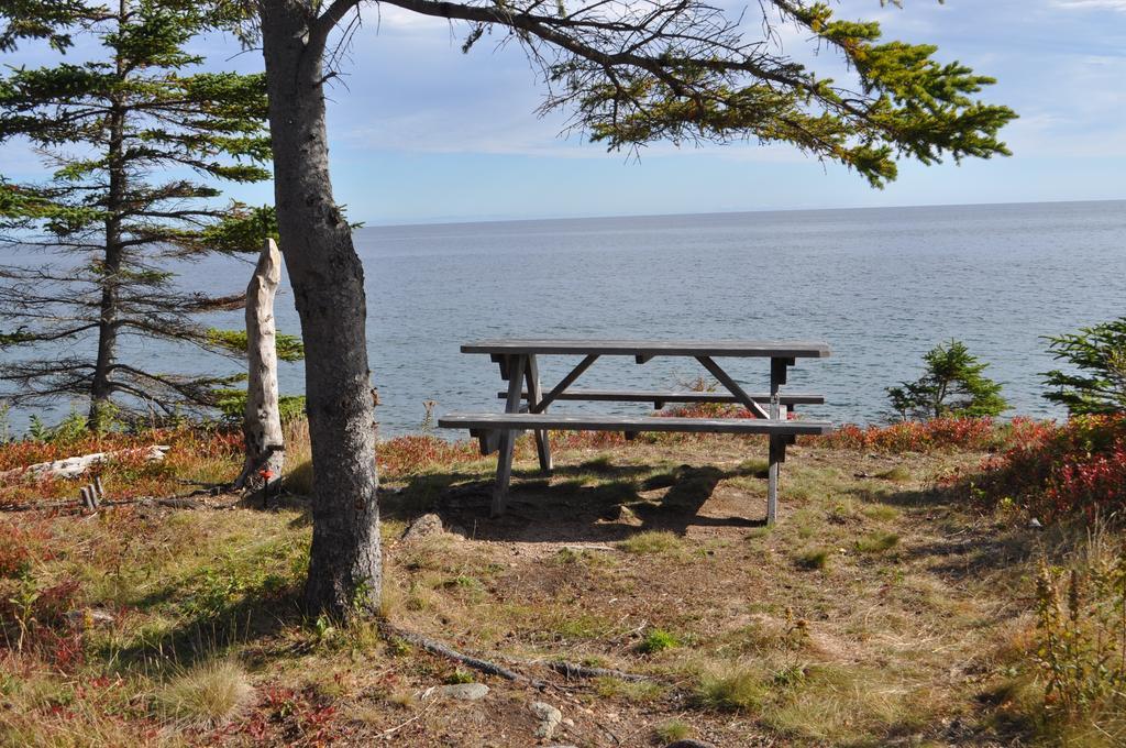 The Sleeping Moose Cottage Birch Plain Extérieur photo