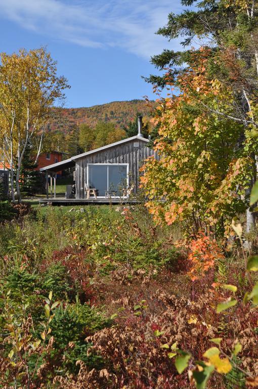 The Sleeping Moose Cottage Birch Plain Extérieur photo